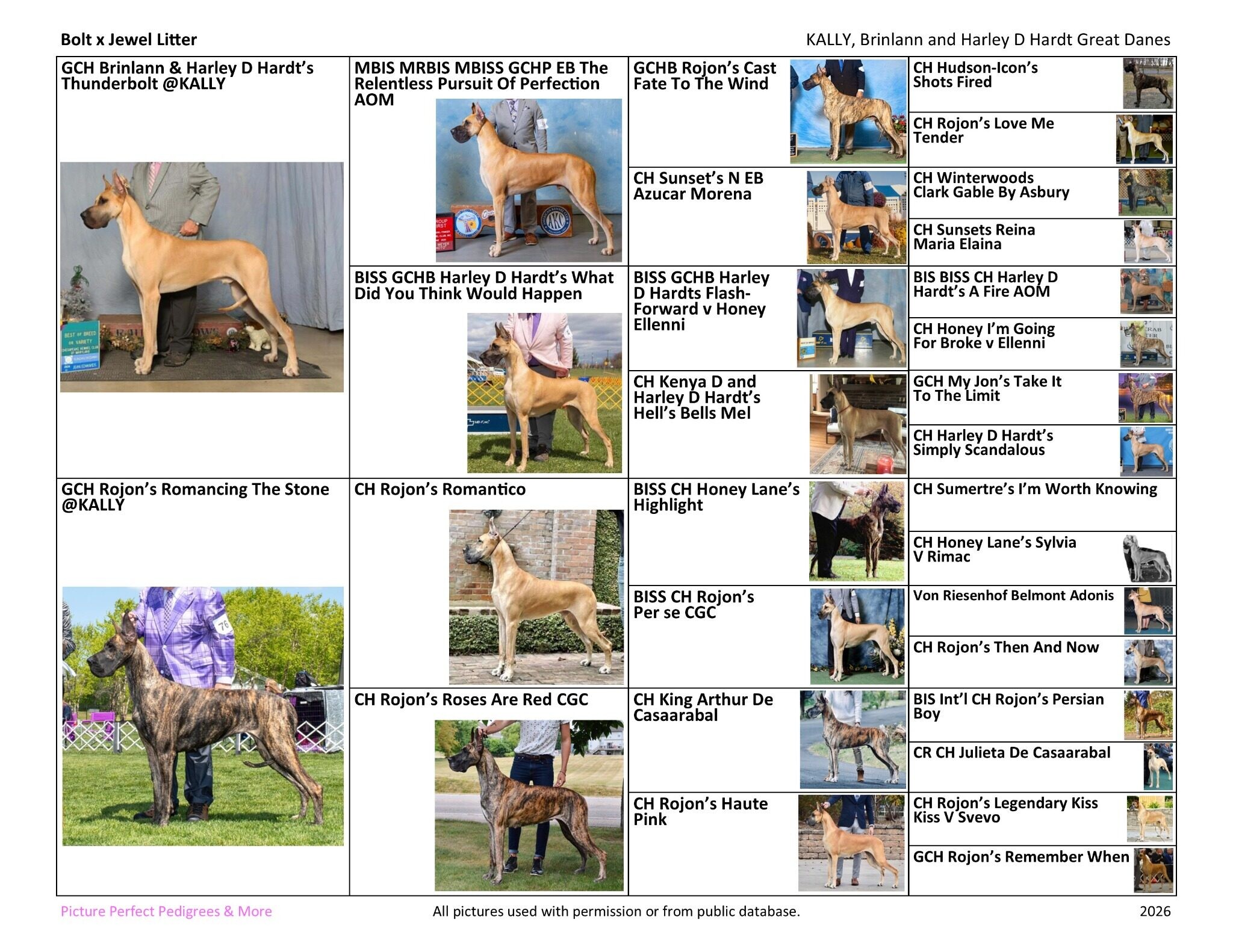 Four-generation picture pedigree for the parents of the America 250 Legacy Litter